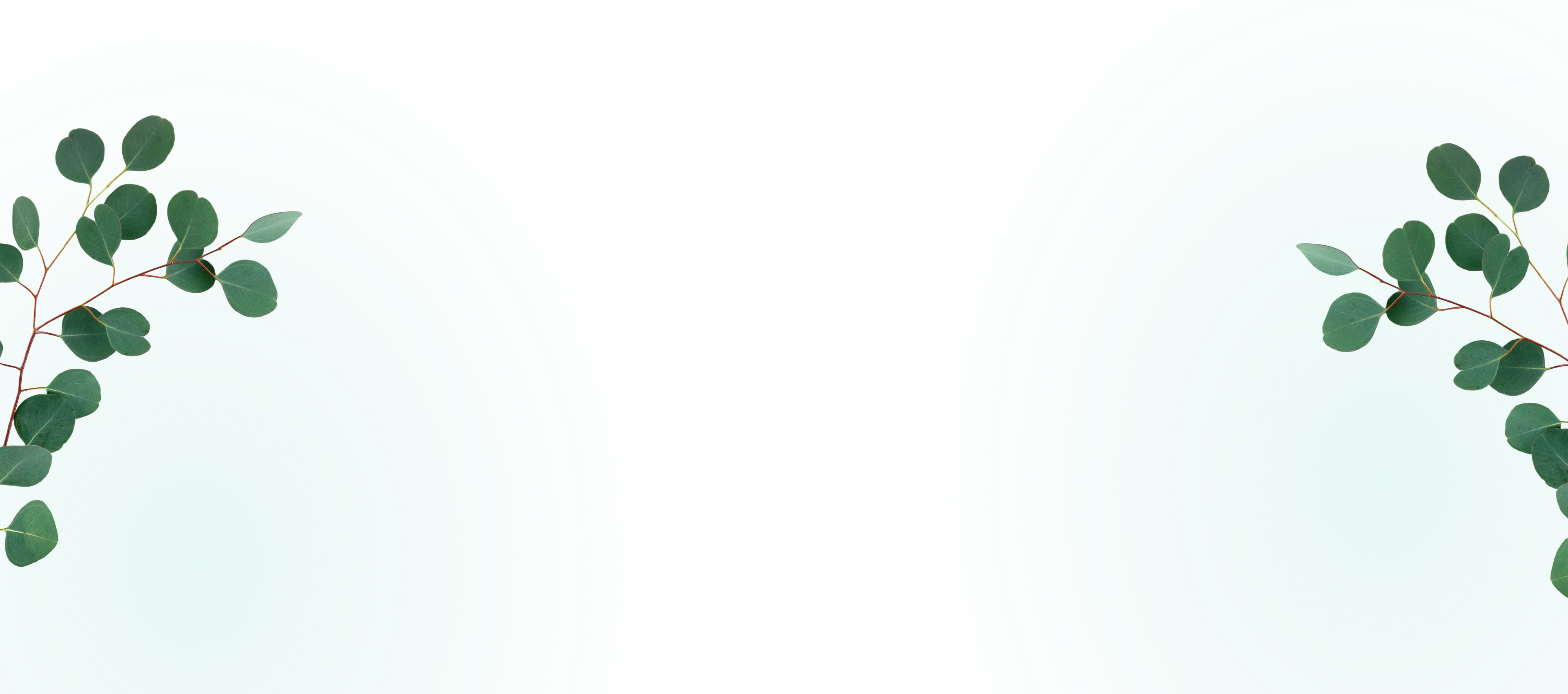 Ecorial background Ecorial background